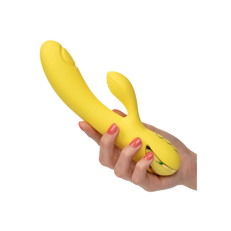 CALEXOTICS - TENTATION DE SAN DIEGO