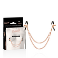COQUETTE CHIC DESIRE - SERRE-NIPPLES FANTAISIE EN MÉTAL AVEC CHAÎNE