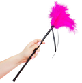 SECRETPLAY - PLUMES ROSES 40 CM