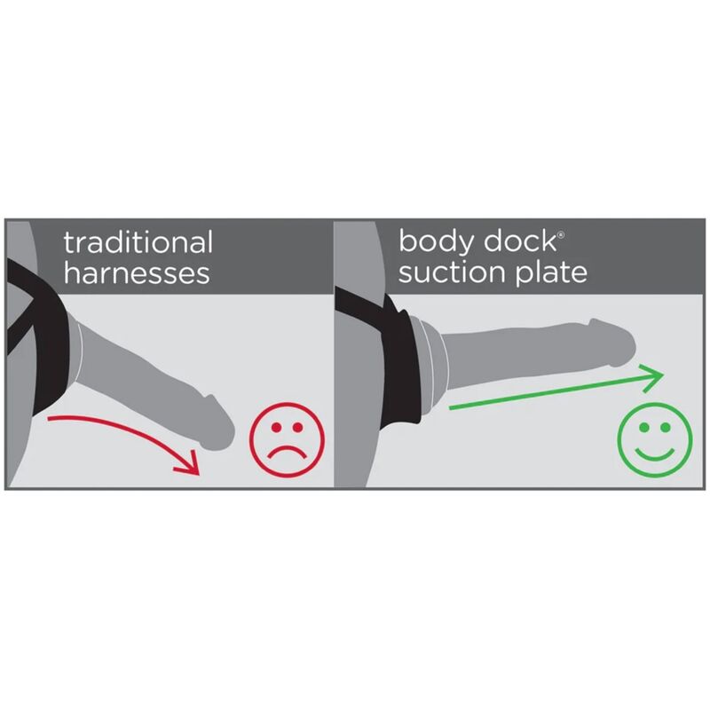 DILLIO - HARNAIS VIOLETTES BODY DOCK