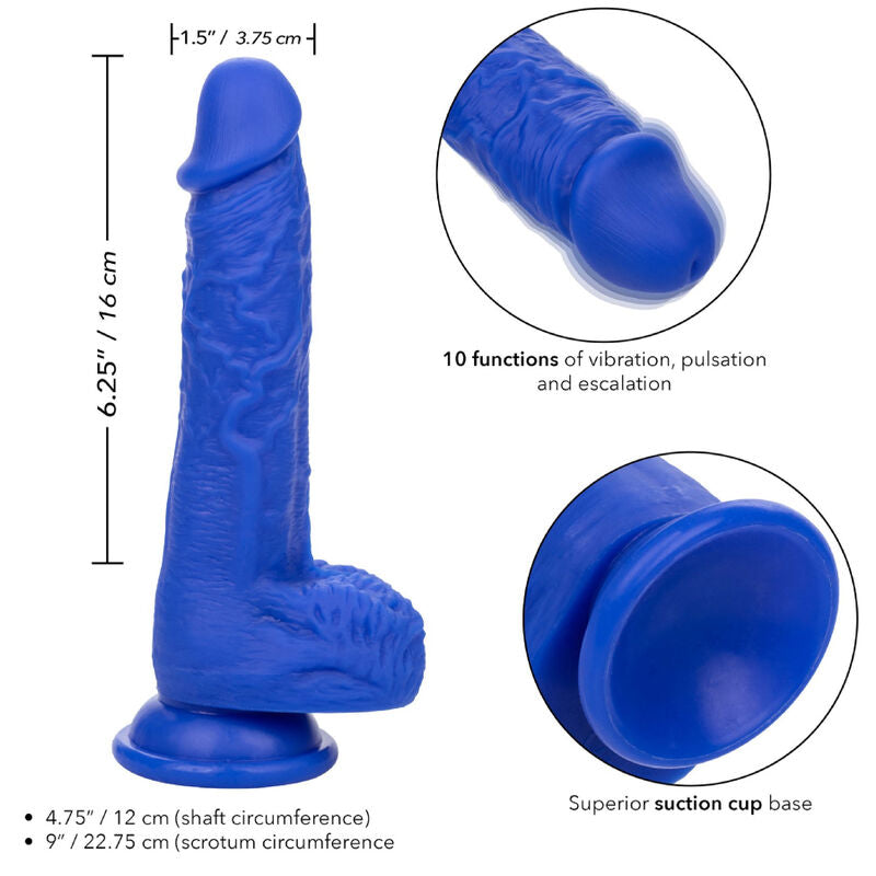 CALEXOTICS - VIBRO DILDO RÉALISTE ADMIRAL SAILOR BLEU