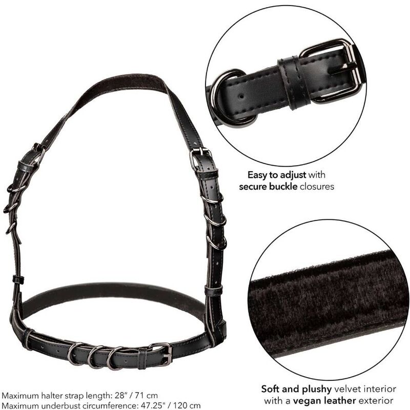CALEXOTICS - EUPHORIA PLUS SIZE HARNAIS HALTER BOUCLE NOIR