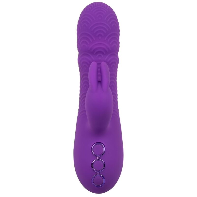 CALEXOTICS - VIBROMASSEUR LAPIN MANHATTAN BEACH MARVEL VIOLET PAR CALIFORNIA DREAMING