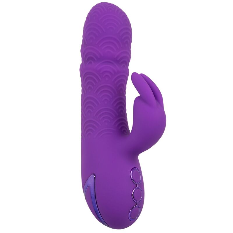 CALEXOTICS - VIBROMASSEUR LAPIN MANHATTAN BEACH MARVEL VIOLET PAR CALIFORNIA DREAMING