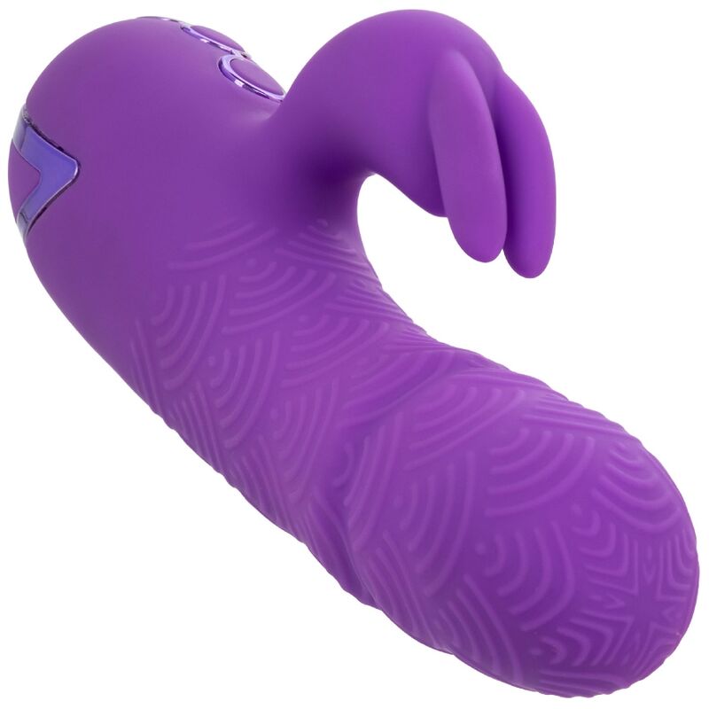 CALEXOTICS - VIBROMASSEUR LAPIN MANHATTAN BEACH MARVEL VIOLET PAR CALIFORNIA DREAMING