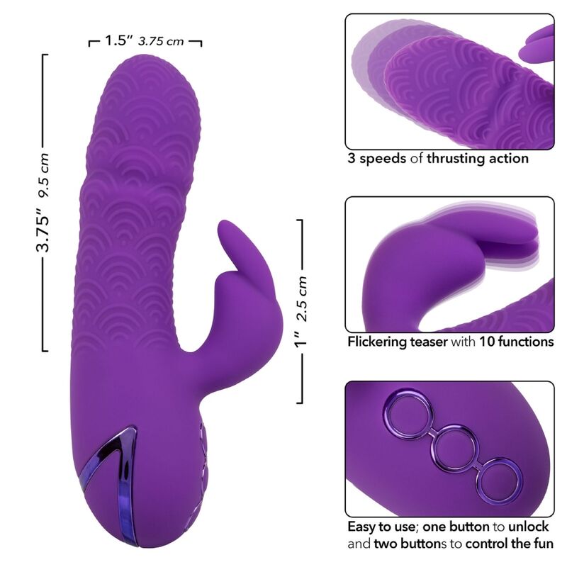 CALEXOTICS - VIBROMASSEUR LAPIN MANHATTAN BEACH MARVEL VIOLET PAR CALIFORNIA DREAMING