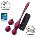 SATISFYER - LOVE BIRDS BOULES VIBRANTES VARIÉES APPLICATION GRATUITE ROUGE BORDEAUX