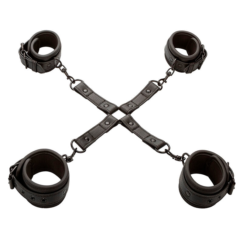 CALEXOTICS - ATTACHE PORC NOCTURNE CONNECTEUR CUIR RÉGLABLE NOIR