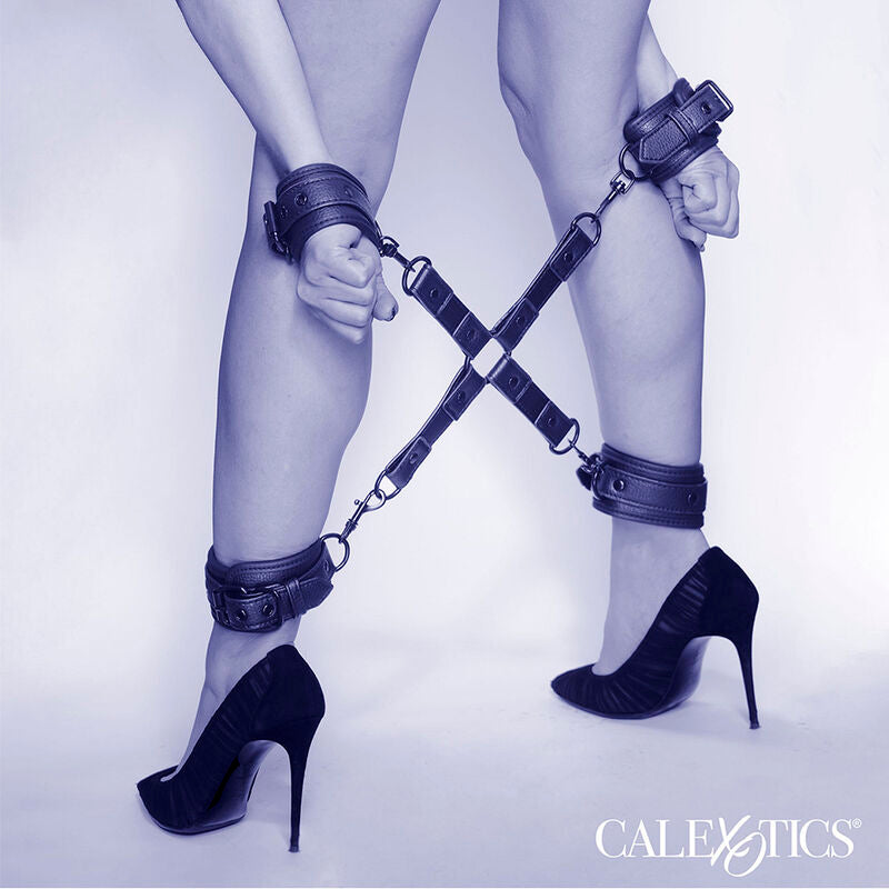 CALEXOTICS - ATTACHE PORC NOCTURNE CONNECTEUR CUIR RÉGLABLE NOIR