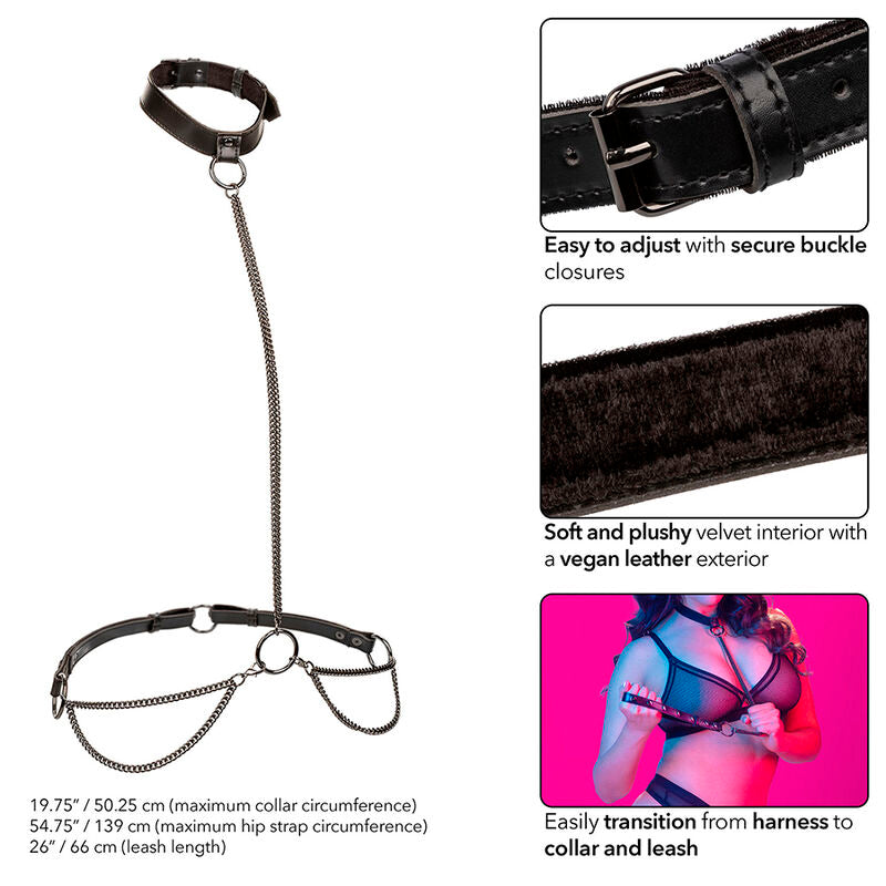 CALEXOTICS - EUPHORIA COLLIER ET LAISSE D'ASSERVISSEMENT EN CHAÎNE GRANDE TAILLE