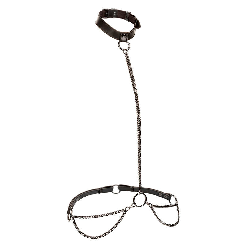 CALEXOTICS - EUPHORIA COLLIER ET LAISSE D'ASSERVISSEMENT EN CHAÎNE GRANDE TAILLE