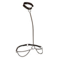 CALEXOTICS - EUPHORIA COLLIER ET LAISSE D'ASSERVISSEMENT EN CHAÎNE GRANDE TAILLE