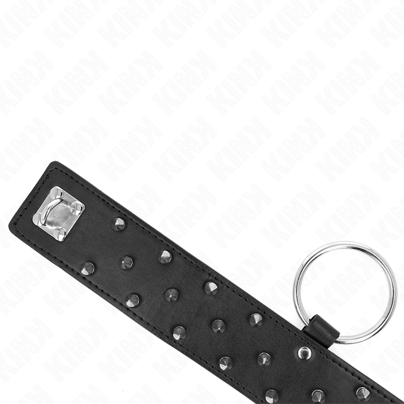 KINK - COLLIER AVEC LAISSE 65 CM AVEC RIVETS ARGENTÉS MODÈLE 5 RÉGLABLE 36-43 CM X 5 CM
