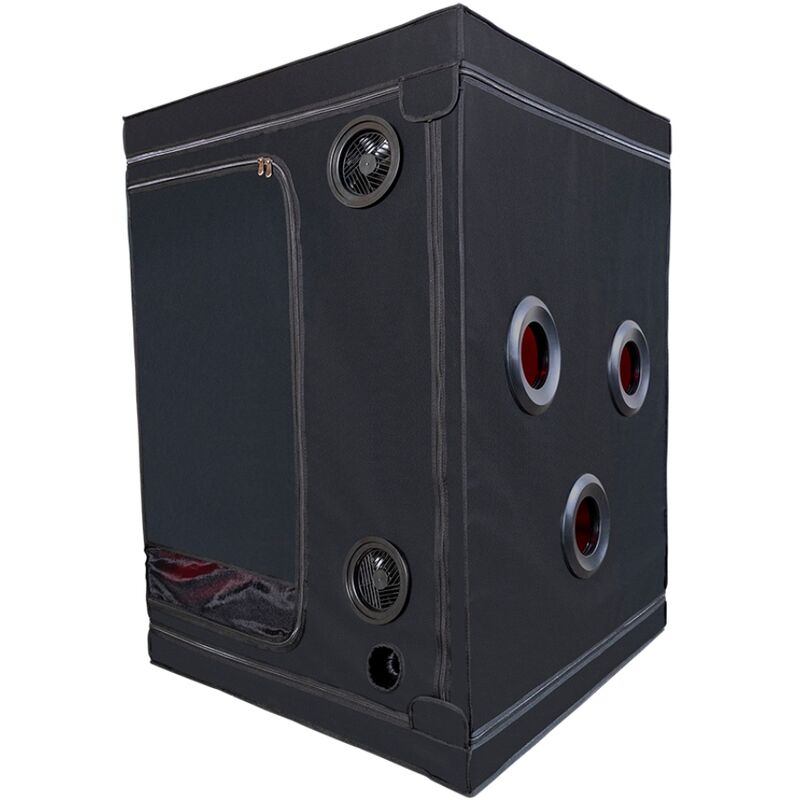 SECRET DOME - CABINE KINK CLUB SCANDALE NOIR & ROUGE