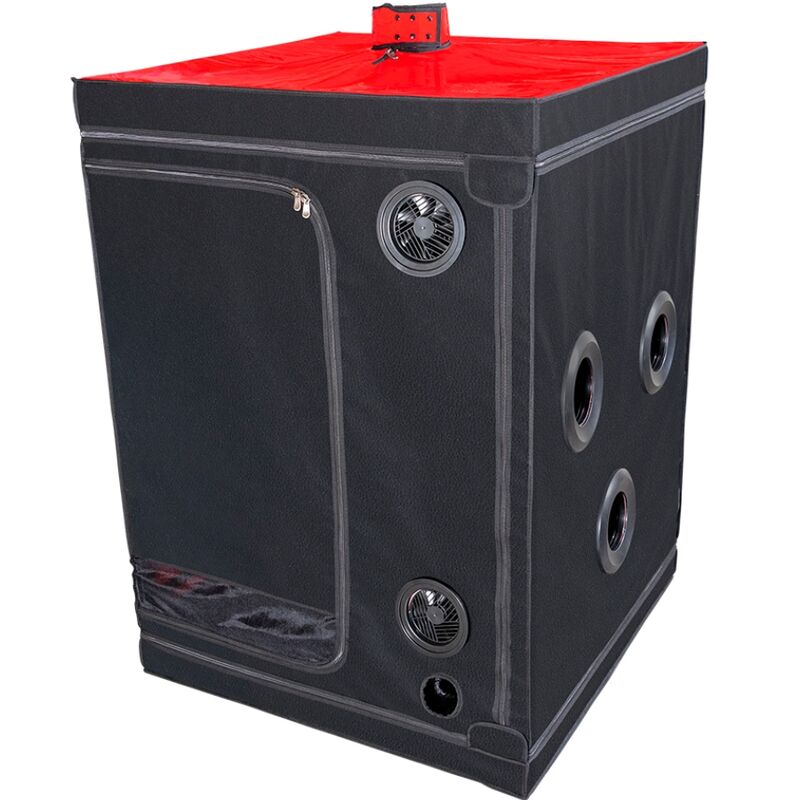 SECRET DOME - CABINE KINK CLUB SCANDALE NOIR & ROUGE