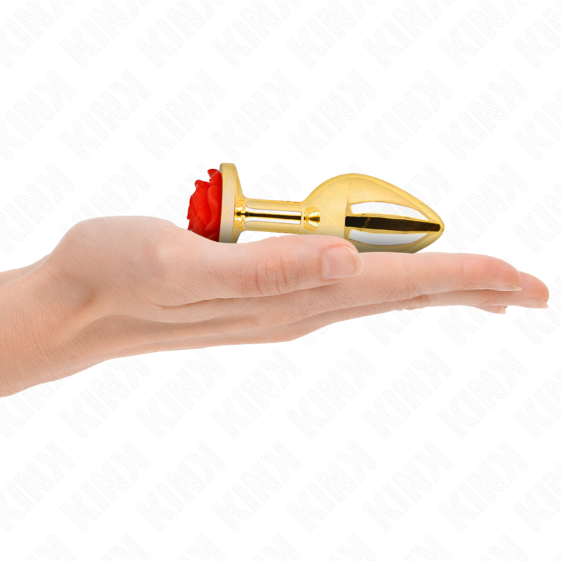 KINK - PLUG ANAL OR ROSE TAILLE M