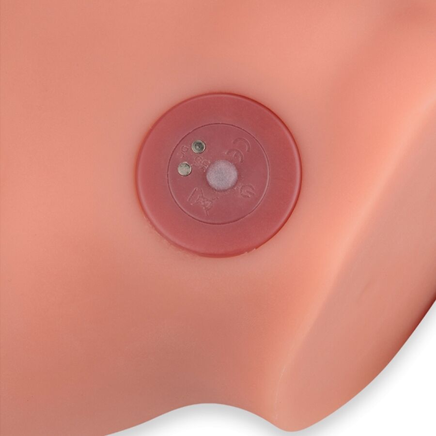 XISE - FREDERICO MASTURBADOR RÉALISTE AVEC FONCTION DE POUSSÉE, 15 CM