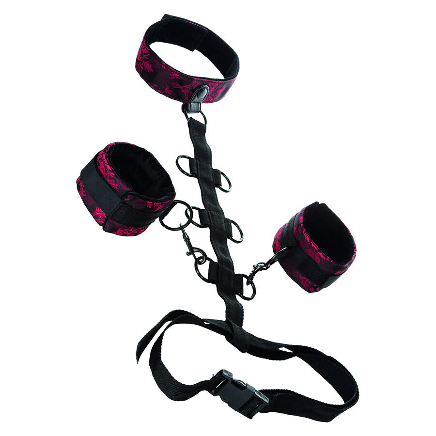 CALEXOTICS - SCANDAL SUPPORT CORPOREL AVEC TOUR DE COU