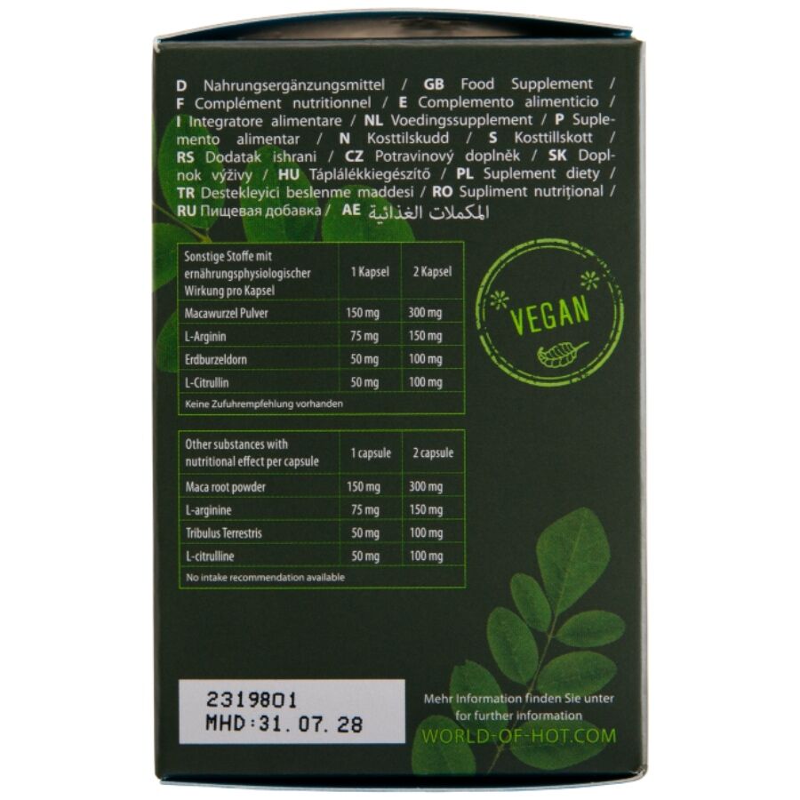 CHAUD - MORINGA MEN CAPS MAN 60 UNITÉS