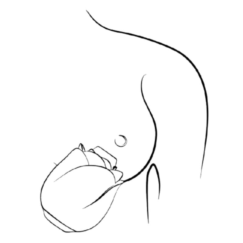 ROMP - SUCEUR DE CLITORIS EN FORME DE ROSE