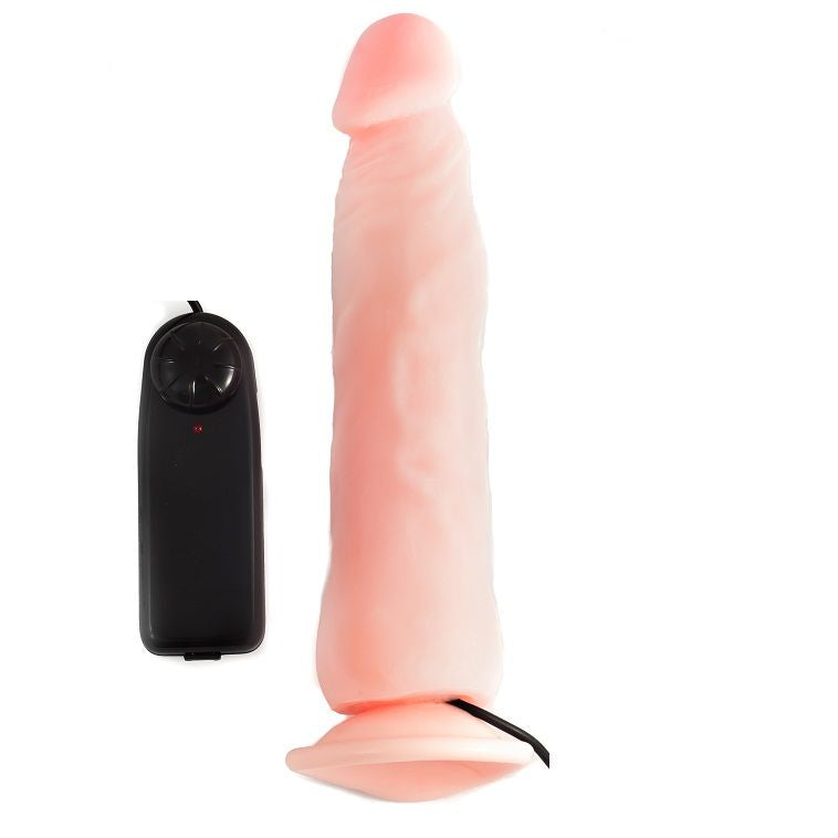 BAILE - PÉNIS RÉALISTE AMOUR-CLONE 22,3 CM