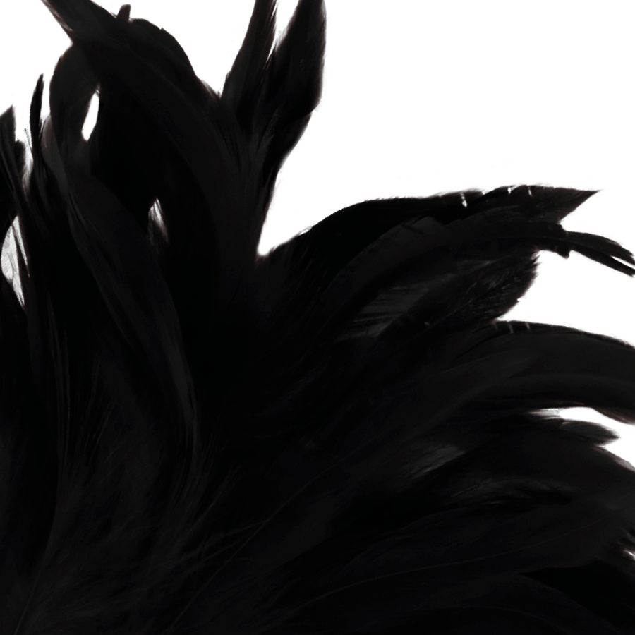 DARKNESS - STYLO STIMULANT LUX NOIR