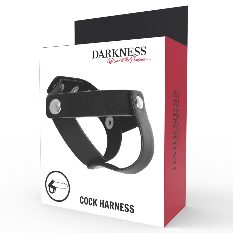 DARKNESS - ANNEAU DE PÉNIS ET DE TESTICULES