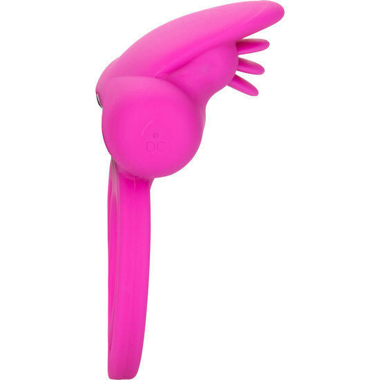 CALEXOTICS - STIMULATEUR CLITORIDIEN DOUBLE