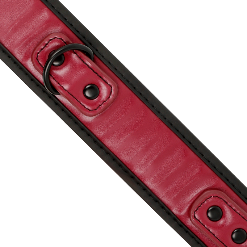 FETISH SOUMISSE DARK ROOM - COLLIER CHAÎNE AVEC DOUBLURE NÉOPRÈNE